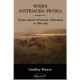 Wojna Austriacko-Pruska. Wojna Austrii z Prusami i Włochami w 1866 roku Geoffrey Wawro motyleksiazkowe.pl