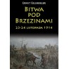Bitwa pod Brzezinami 23-24 listopada 1914