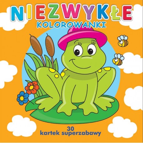 Niezwykłe kolorowanki praca zbiorowa motyleksiazkowe.pl