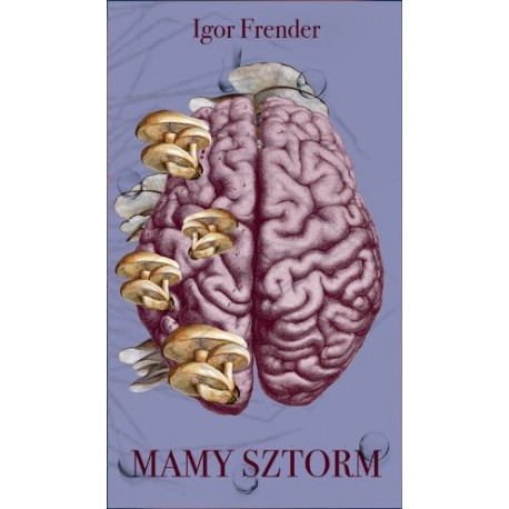 Mamy sztorm Igor Frender motyleksiazkowe.pl