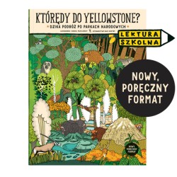 Którędy do Yellowstone? Dzika podróż po parkach narodowych  Aleksandra i Daniel Mizielińscy motyleksiazkowe.pl