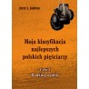 Moja klasyfikacja najlepszych polskich pięściarzy Część 1 Ranking ogólny