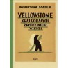 Yellowstone Kraj gorących źródeł i niedźwiedzi