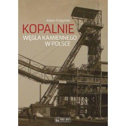 Kopalnie węgla kamiennego w Polsce Adam Frużyński motyleksiazkowe.pl