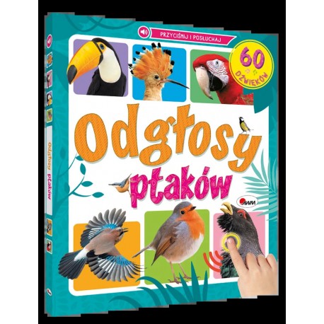 ODGŁOSY PTAKÓW 60 DŹWIĘKÓW KSIĄŻKA DŹWIĘKOWA motyleksiazkowe.pl