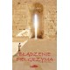 Błądzenie pielgrzyma C.S. Lewis motyleksiazkowe.pl
