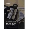 Muzyk ulicy