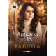 Karuzela (DUŻE LITERY) Agnieszka Lis, motyleksiazkowe.pl