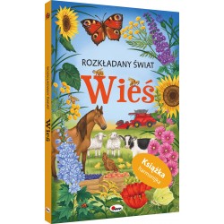 ROZKŁADANY ŚWIAT WIEŚ