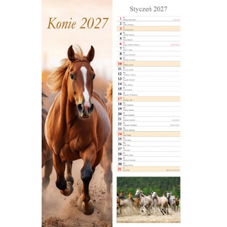 Kalendarz typu pasek 2027 - Konie motyleksiazkowe.pl