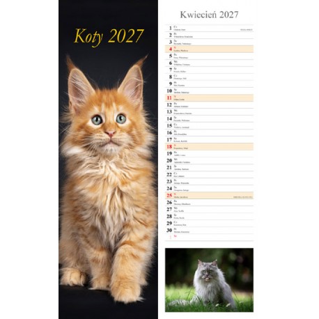 Kalendarz typu pasek 2027 - Koty motyleksiazkowe.pl