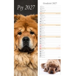 Kalendarz typu pasek 2027 - Psy