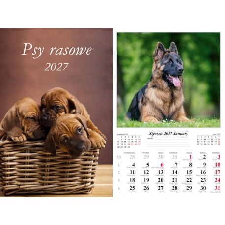 Kalendarz dwustronny 2027 - Psy rasowe motyleksiazkowe.pl