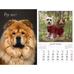Kalendarz ścienny 2027 - Psy