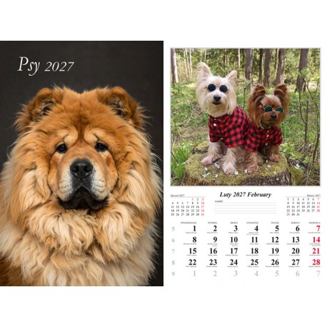 Kalendarz ścienny 2027 - Psy motyleksiazkowe.pl
