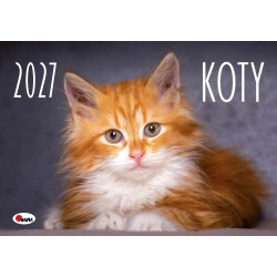 KALENDARZ 2027 KOTY ALBUMOWY A4