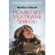 Pomiędzy płatkami śniegu Monika Cieluch motyleksiazkowe.pl