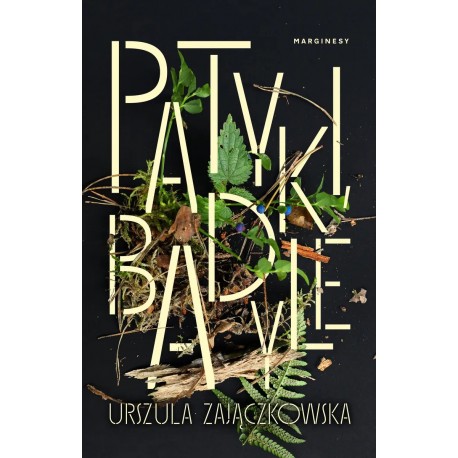 Patyki, badyle Wydanie rozszerzone Urszula Zajączkowska motyleksiazkowe.pl