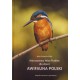 Wierszowany Atlas Ptaków dla dzieci Awifauna Polski Beata Gruszecka-Małek motyleksiazkowe.pl
