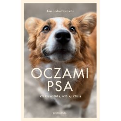 Oczami psa Co psy widzą, czują i wiedzą