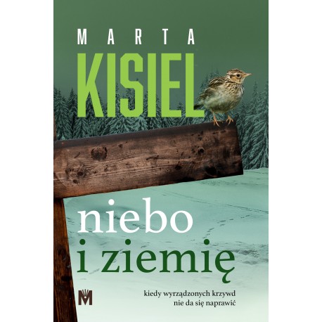 Niebo i ziemię Marta Kisiel motyleksiazkowe.pl