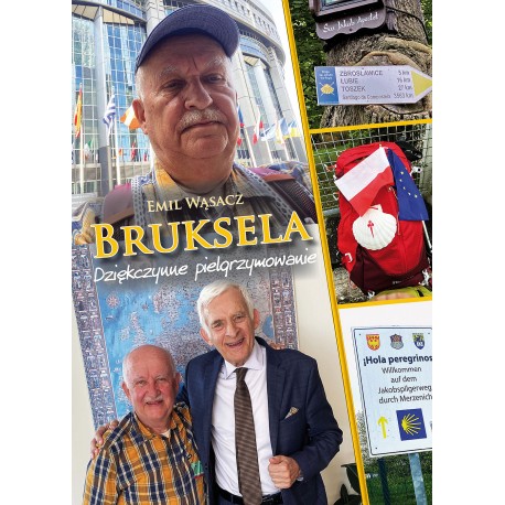 Bruksela. Dziękczynne pielgrzymowanie Wąsacz Emil motyleksiazkowe.pl