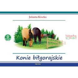 Konie biłgorajskie Justyna Kiszka motyleksiazkowe.pl