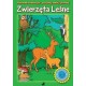 Zwierzęta leśne. Malowanka edukacyjna