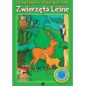 Zwierzęta leśne. Malowanka edukacyjna
