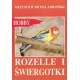 Rozelle i świergotki