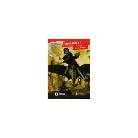 Palę Paryż AUDIOBOOK 