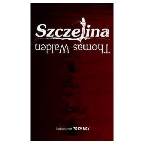 Szczelina 