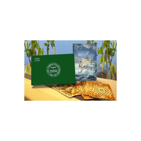 Ścieżki i bezdroża runiczne+ karty 