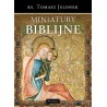 Miniatury biblijne 